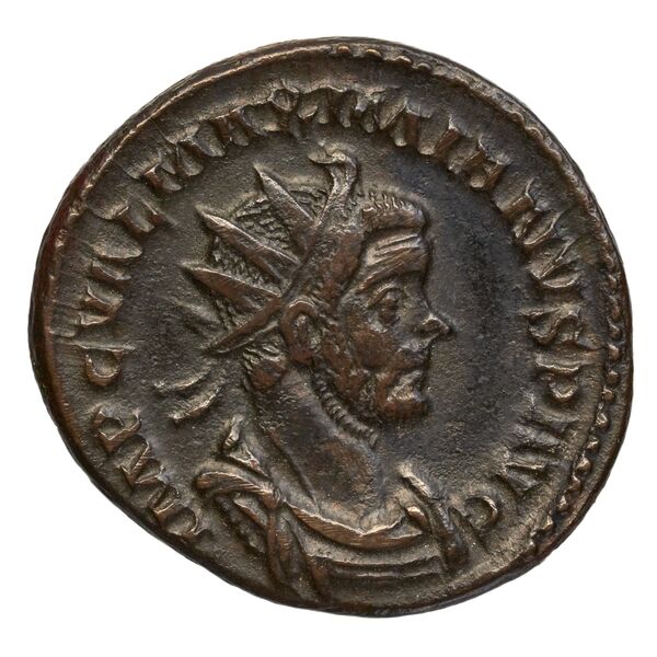 RIC V Diocletian 379, аверс, bnf_ocre
