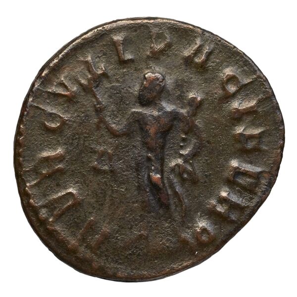 RIC V Diocletian 379, реверс, bnf_ocre