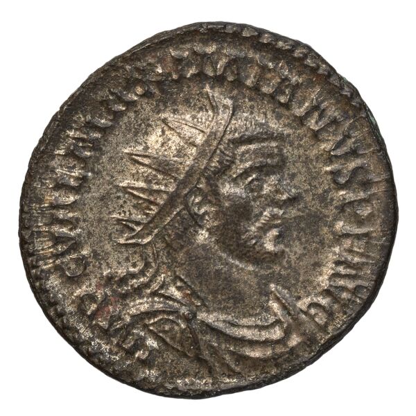 RIC V Diocletian 371, аверс, bnf_ocre