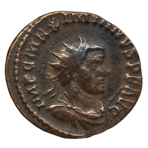 RIC V Diocletian 396, аверс, bnf_ocre