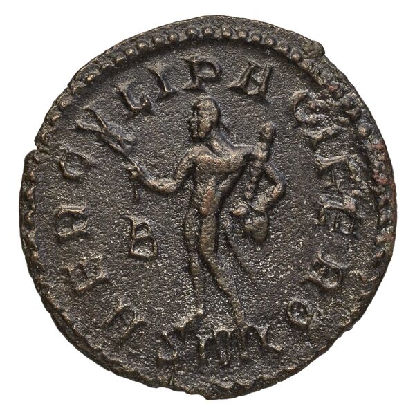 реверс RIC V Diocletian 375
