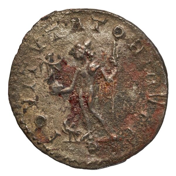 RIC V Diocletian 54, реверс, bnf_ocre
