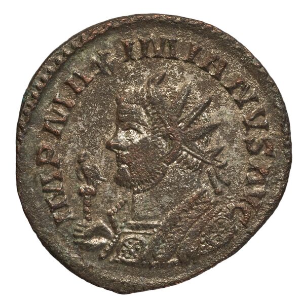 RIC V Diocletian 399, аверс, bnf_ocre