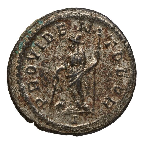 RIC V Diocletian 76, реверс, bnf_ocre