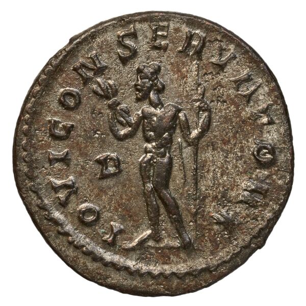 реверс RIC V Diocletian 48
