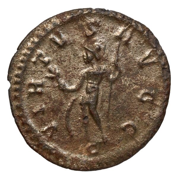 реверс RIC V Diocletian 99