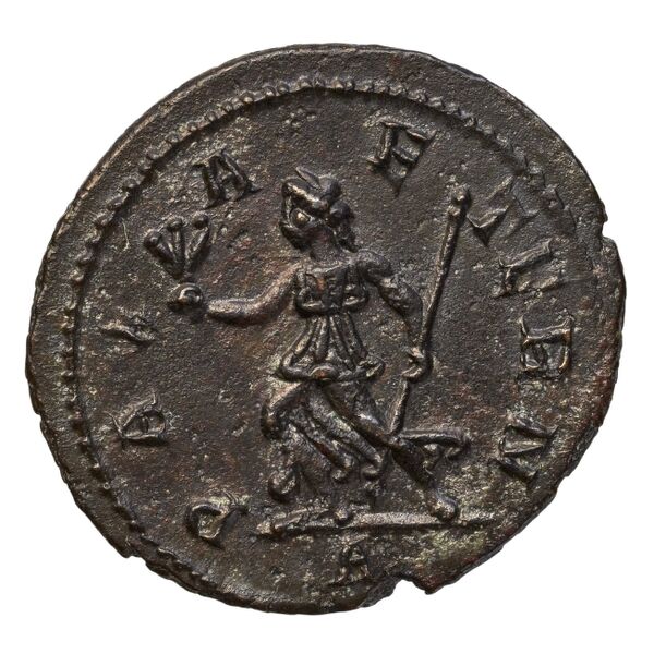 реверс RIC V Diocletian 395