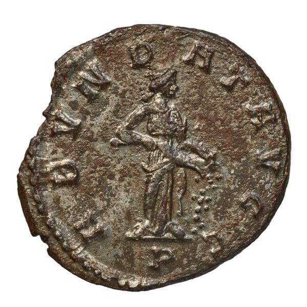реверс RIC V Diocletian 8