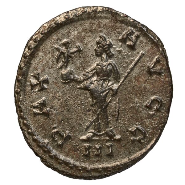 RIC V Diocletian 67, реверс, bnf_ocre