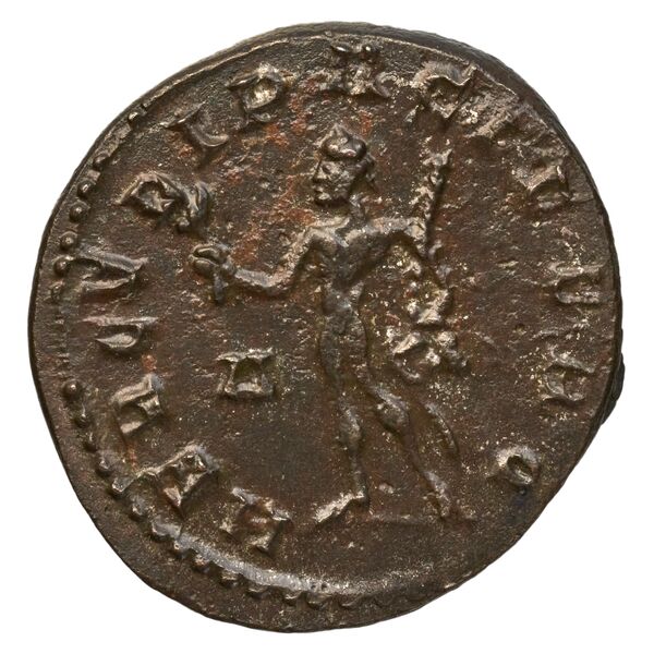 RIC V Diocletian 372, реверс, bnf_ocre
