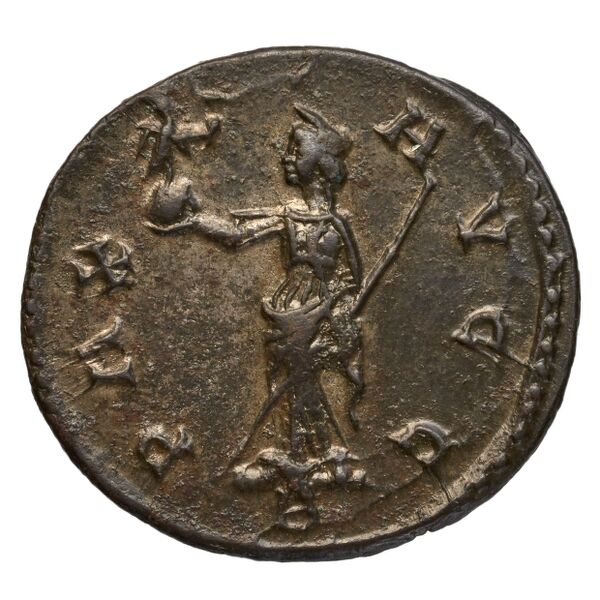 RIC V Diocletian 399, реверс, bnf_ocre