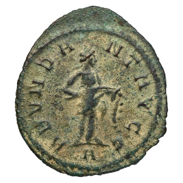 RIC V Diocletian 9, реверс, bnf_ocre