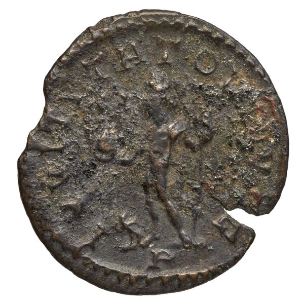 реверс RIC V Diocletian 52