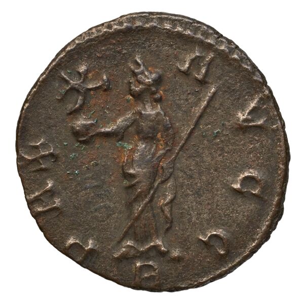RIC V Diocletian 67, реверс, bnf_ocre