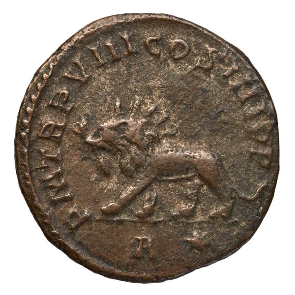 реверс RIC V Diocletian 5