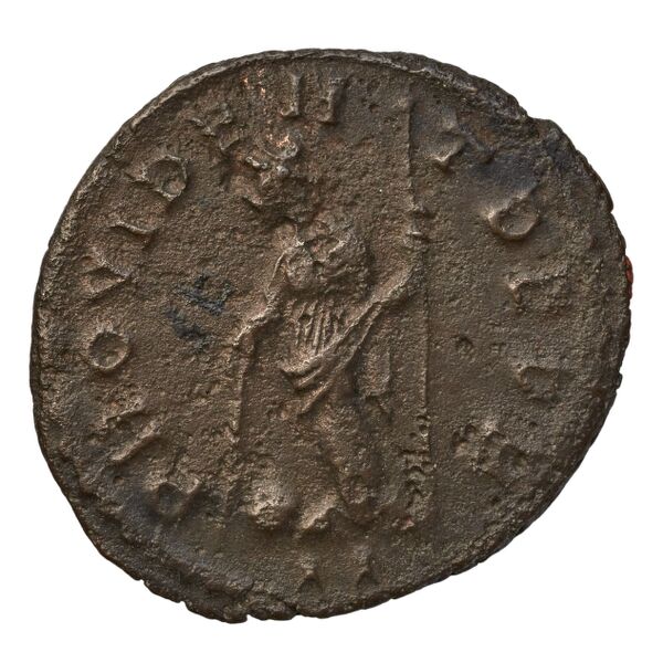 RIC V Diocletian 74, реверс, bnf_ocre