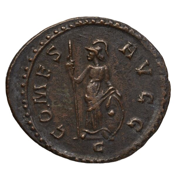 реверс RIC V Diocletian 353
