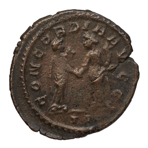реверс RIC V Diocletian 355