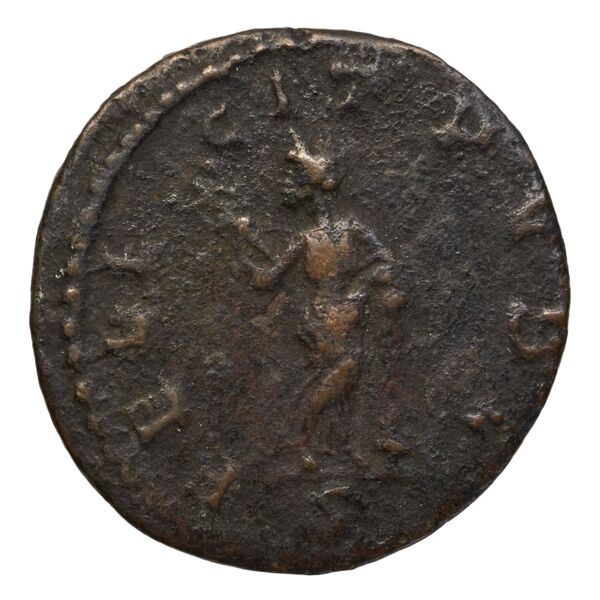 реверс RIC V Diocletian 360