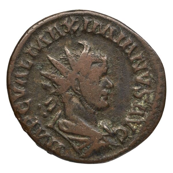 аверс RIC V Diocletian 364
