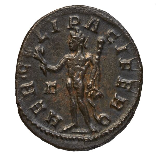 RIC V Diocletian 371, реверс, bnf_ocre