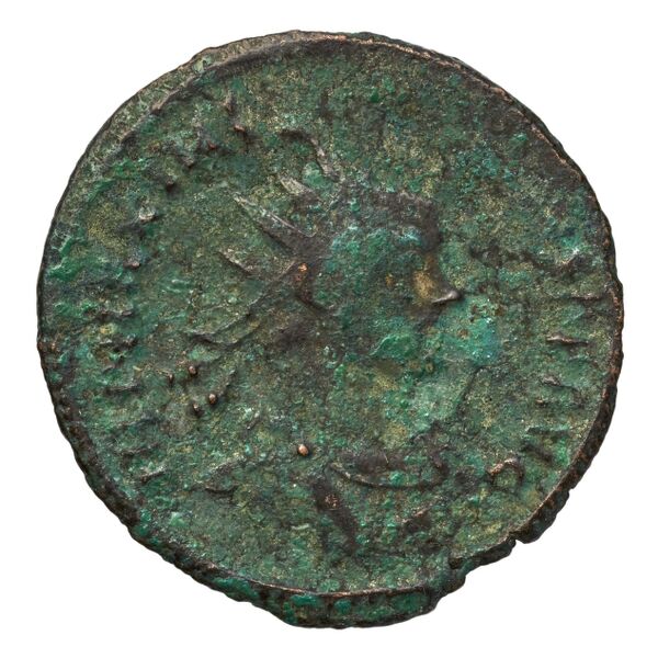 аверс RIC V Diocletian 516