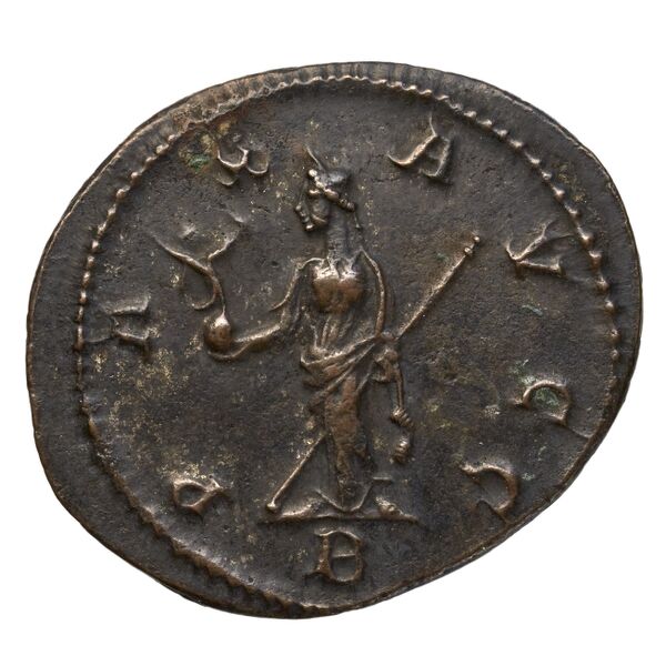 RIC V Diocletian 399, реверс, bnf_ocre