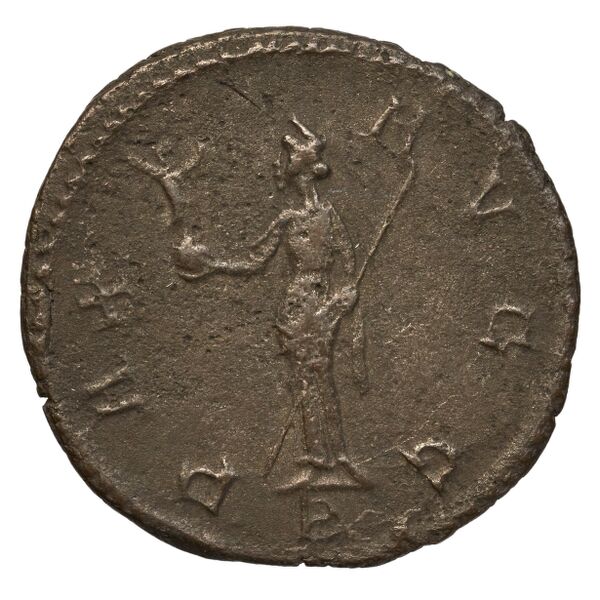 RIC V Diocletian 399, реверс, bnf_ocre