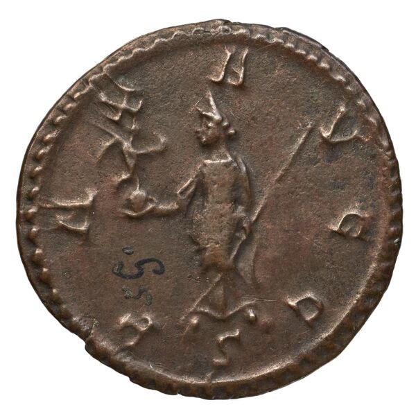 RIC V Diocletian 396, реверс, bnf_ocre