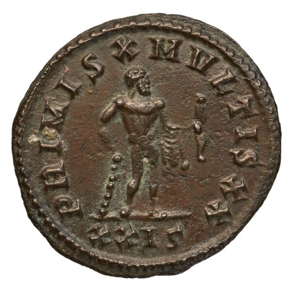 реверс RIC V Diocletian 511