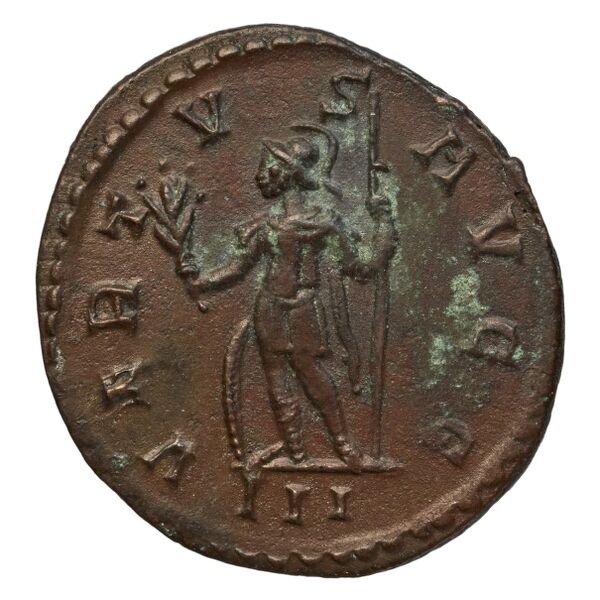 RIC V Diocletian 447, реверс, bnf_ocre