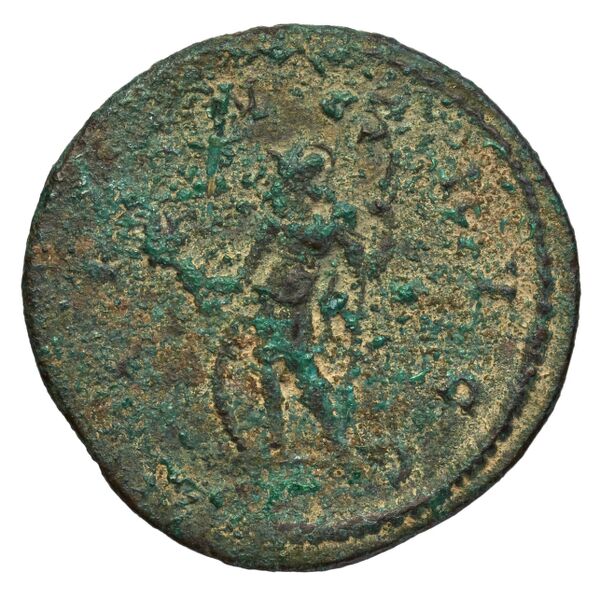 реверс RIC V Diocletian 446