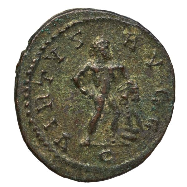 реверс RIC V Diocletian 441