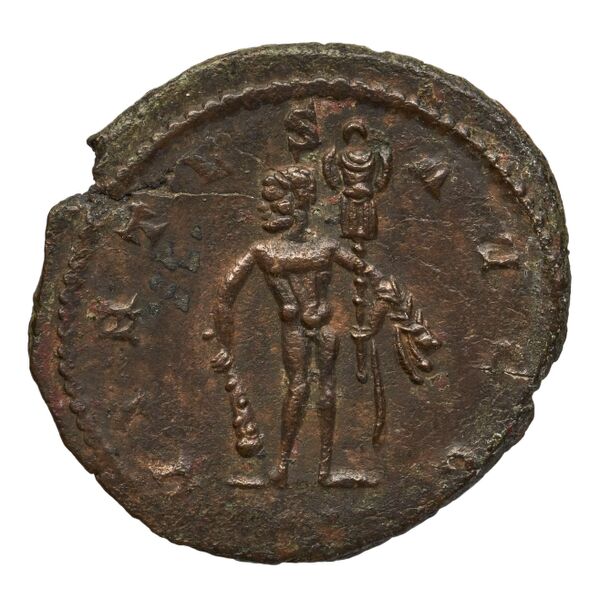 RIC V Diocletian 515, реверс, bnf_ocre