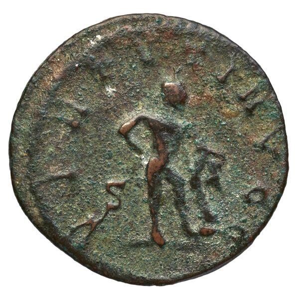реверс RIC V Diocletian 465