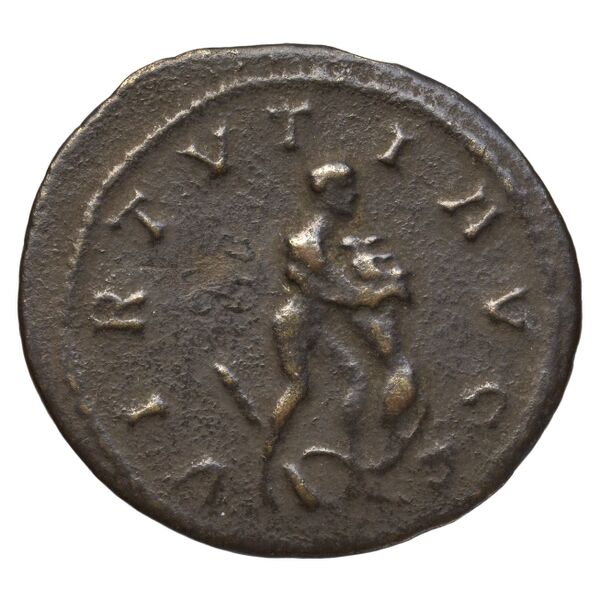 реверс RIC V Diocletian 458