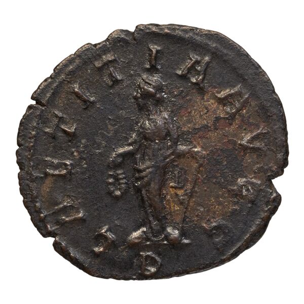 RIC V Diocletian 630, реверс, bnf_ocre