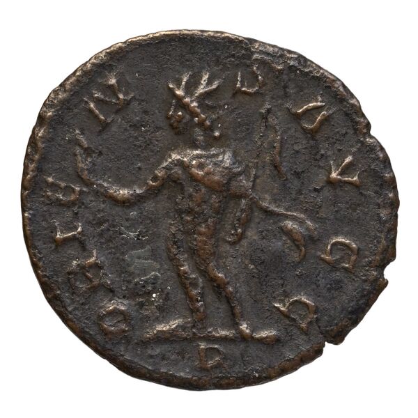 реверс RIC V Diocletian 631