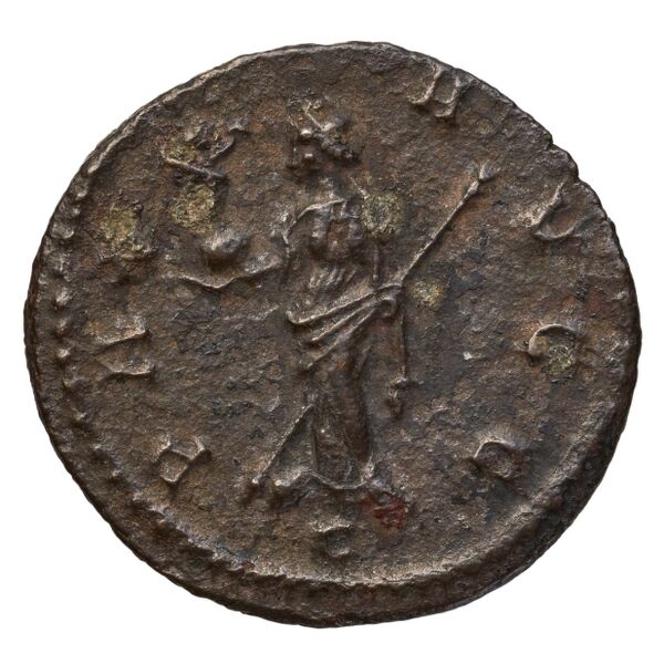 реверс RIC V Diocletian 687