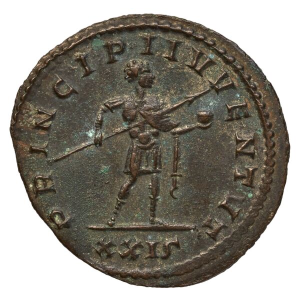 RIC V Diocletian 705, реверс, bnf_ocre
