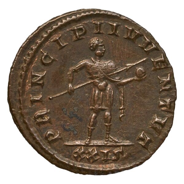 реверс RIC V Diocletian 705