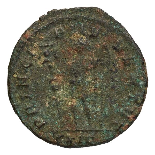 реверс RIC V Diocletian 707