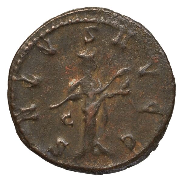 реверс RIC V Diocletian 417