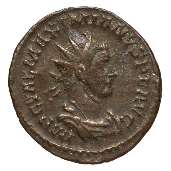 RIC V Diocletian 432, аверс, bnf_ocre