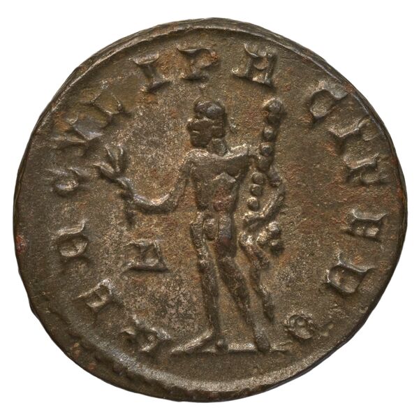 RIC V Diocletian 371, реверс, bnf_ocre