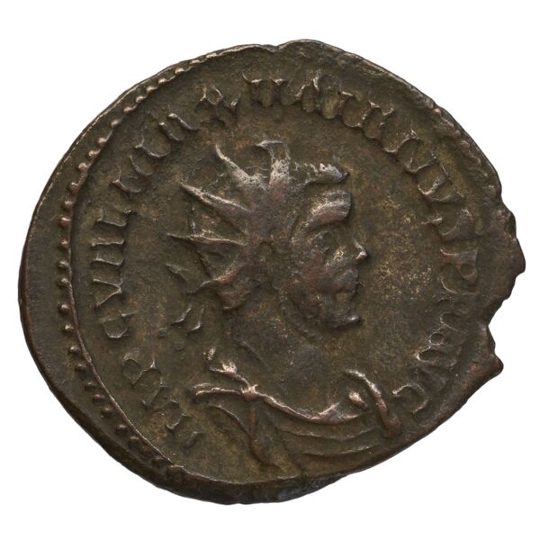 RIC V Diocletian 371, аверс, bnf_ocre