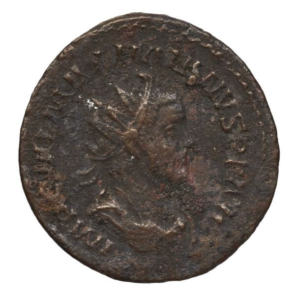 RIC V Diocletian 432, аверс, bnf_ocre