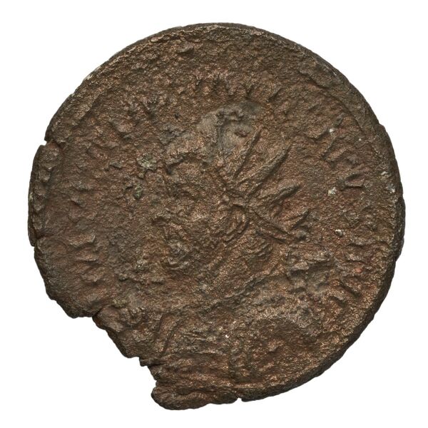 RIC V Diocletian 370, аверс, bnf_ocre
