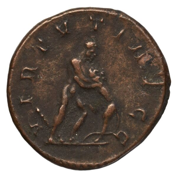 RIC V Diocletian 454, реверс, bnf_ocre