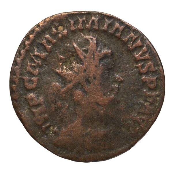 RIC V Diocletian 365, аверс, bnf_ocre